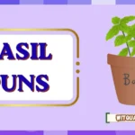 basil-punsBasil Puns
