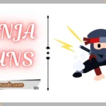 Ninja Puns