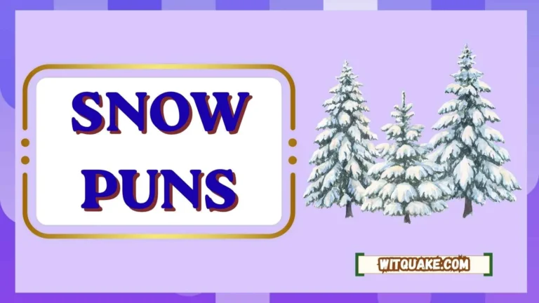 Snow Puns