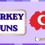 Turkey Puns